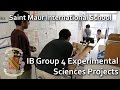 Science  ib group 4 experimental sciences project