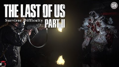 (PS4) The Last Of Us Part 2 (No Commentary / Survivor) Gameplay Walkthrough #14