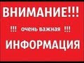 Вот она вся правда о Elev8 и Bepic. Реальные результаты по применению.