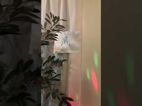 風／コブクロ(女性cover)アカペラ