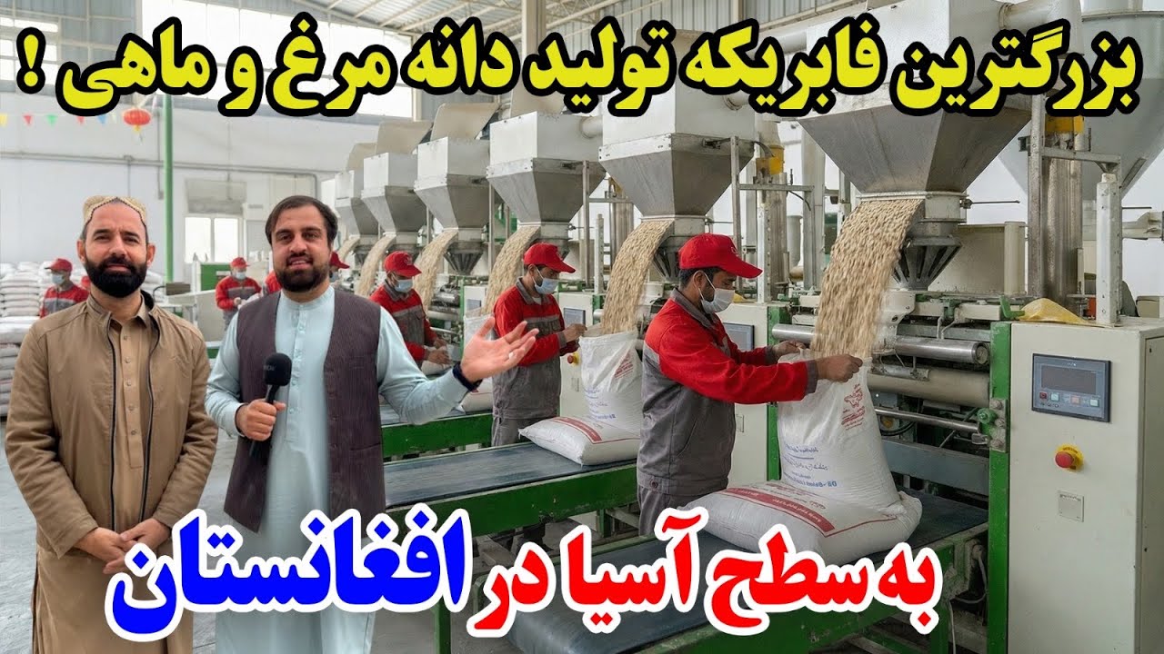 گزارش ویژه از فابریکه تولید غله جات افغانستان |Balkh Afghanistan 