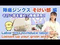 【陣痛ジンクスそけい部編】自宅で簡単!陣痛が始まり、スムーズに出産が進行する動きをご紹介。Labor Jinx to induce labor: Loosen up your groin area!