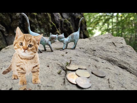 Defineden Kedi Çıktı !!!