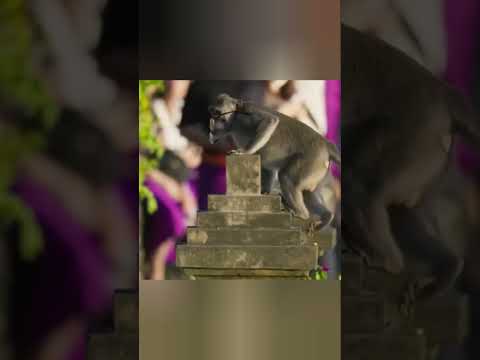 этот урожай не предназначен для употребления #beyond #природа #beyondfacts #кино #животные #animals