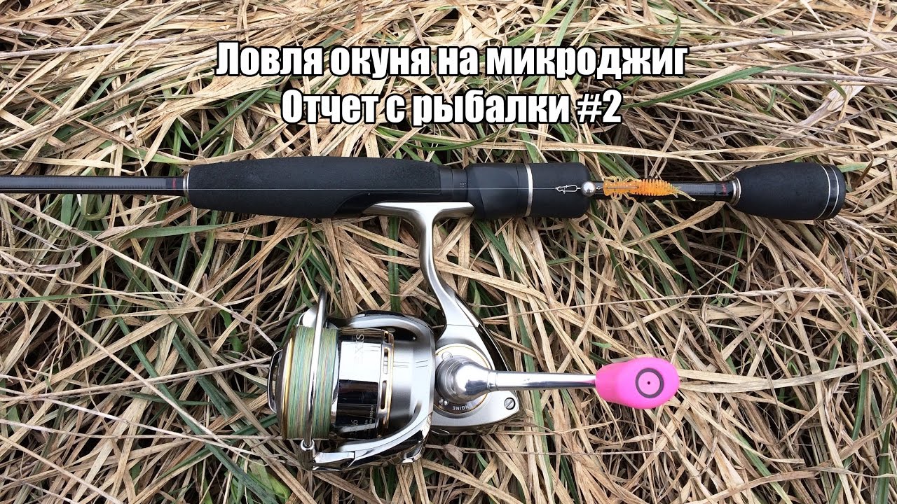 Микроджиг на оке