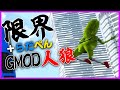 【GMOD人狼】やばい人達とやるGMOD人狼は怖い【限界ぺんらだ】