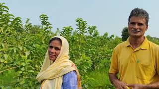 Woman farmer's organic farm,  जैविक खेती से कमाती हैं लाखों screenshot 5