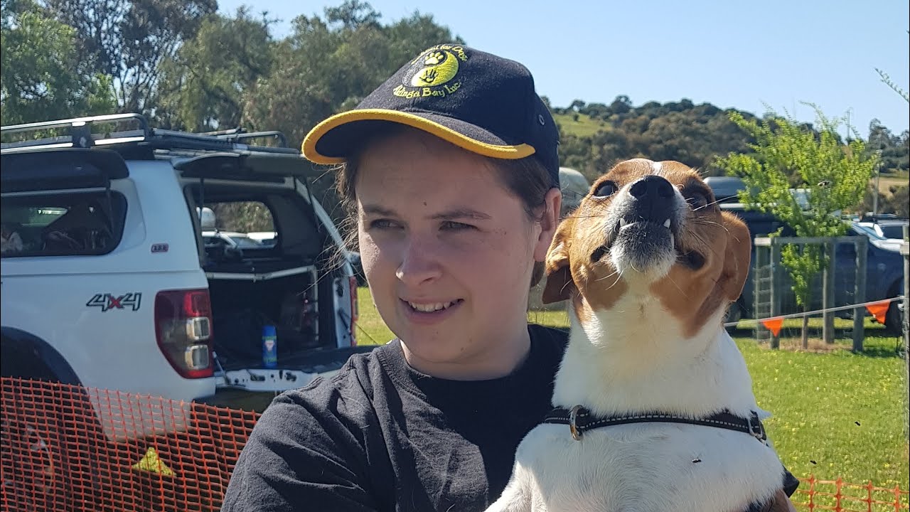 School for Dogs Aldinga Bay at the Yankalilla Show YouTube