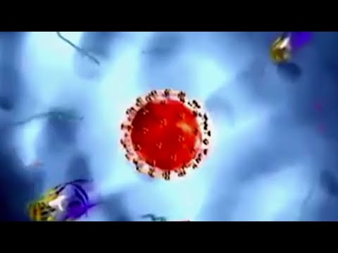 შიდსით  თვეში  8-10 გარდაცვლილი