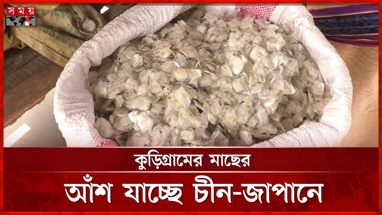জেলে পরিবারে স্বচ্ছলতা ফেরাচ্ছে মাছের আঁশ, সামনে অপার সম্ভাবনা | Kurigram Fish Market | Somoy TV