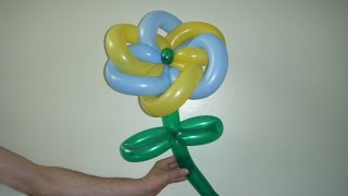 Как сделать цветок из шариков(В этом видео уроке вы научитесь как сделать цветок из шариков используя технику плетения твистинг ШДМ...., 2014-06-30T00:47:50.000Z)