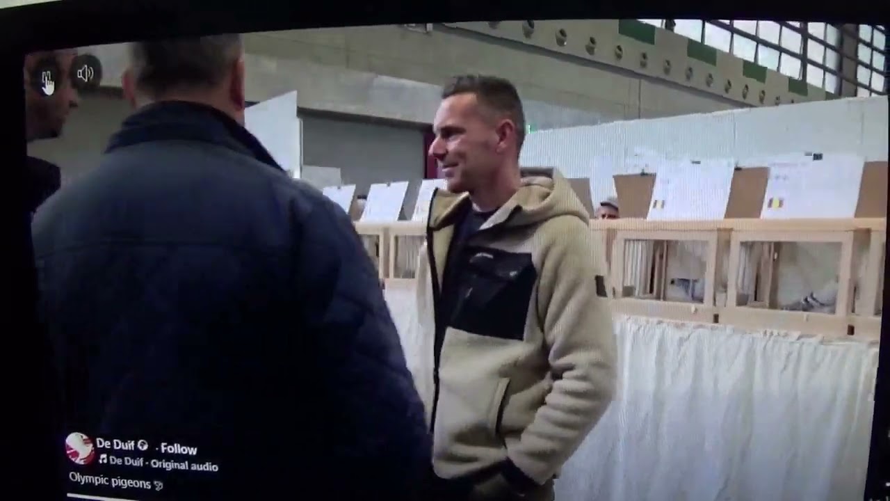 Targ columbofil international Dortmund Germania 6 - 8 februarie 2026 part 2