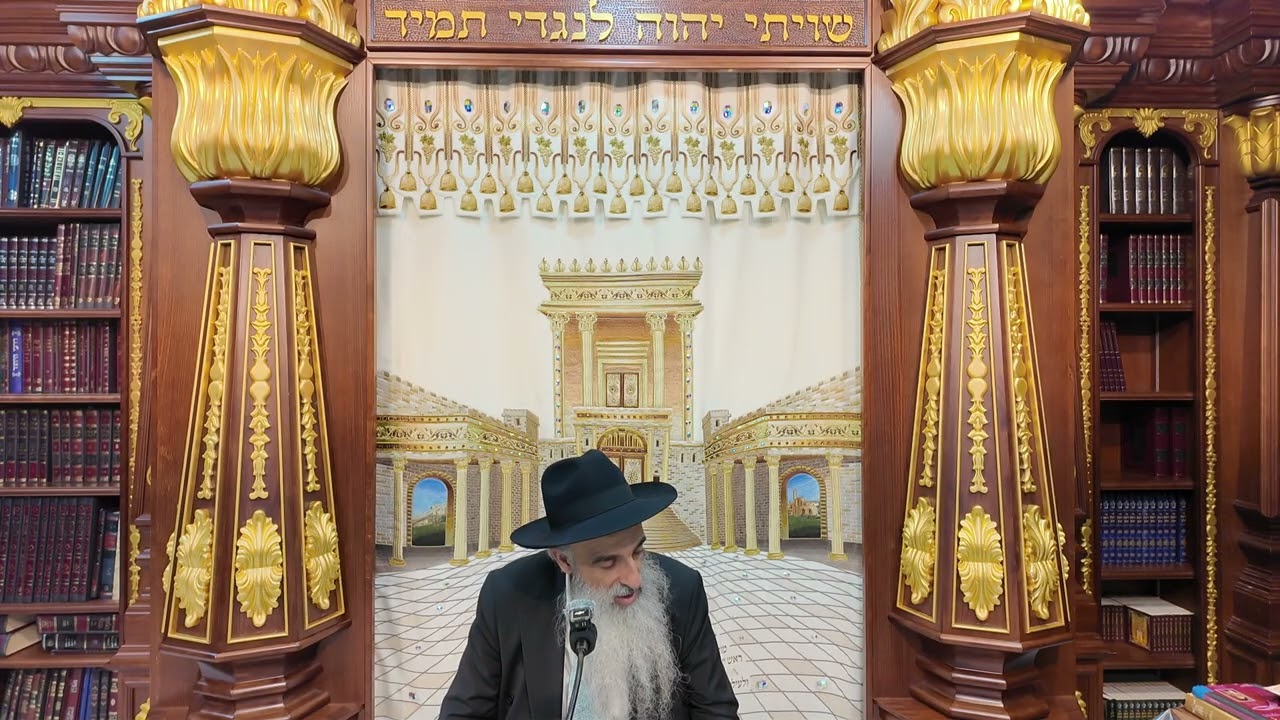 הרב מאיר דוד שמואלי - הלכות סוכה סימן תרכ"ט - תרל"א