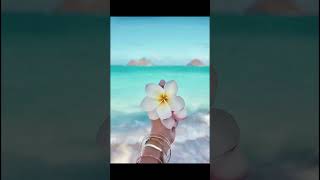 Free cute preppy wallpapers! Part.1 #preppy #cute #wallpaper #slayyy #ItzzEmilyy #aesthetic #slay