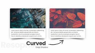 Curved Drop Shadow Effect | For Responsive Card Layout - A CSS Trick - Html & CSS