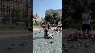 I Didnt Expect Them To Land On Me