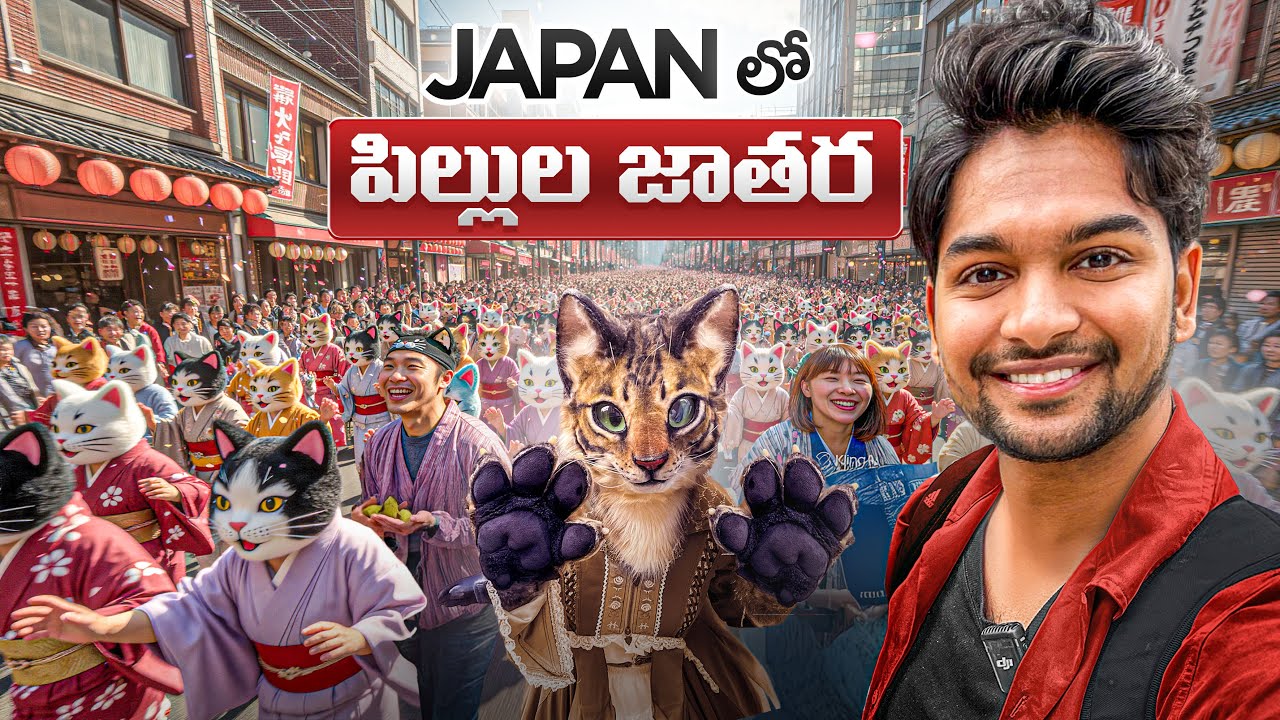 Crazy Cat Festival in Japan 2025