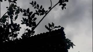Story Cinematic Kota - Dere | Udara mana kini yang kau hirup