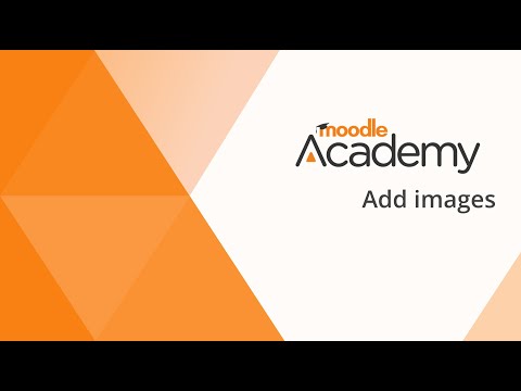 Add images