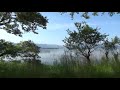 Lake Biwa-Shin-Asahi Garden, Shin-Asahi Town, Takashima City琵琶湖ー高島市新旭町新旭園地201805撮影