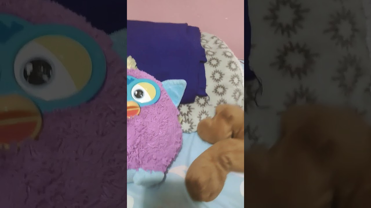 1 de septiembre de 2022