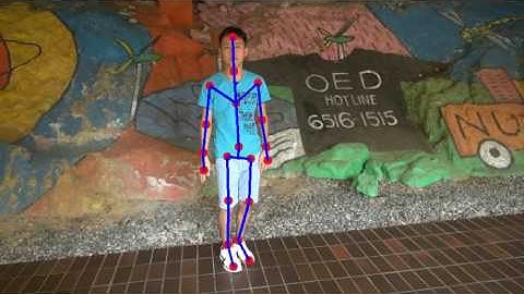 Outdoor Markerless Motion Capture with Sparse Handheld Video Cameras