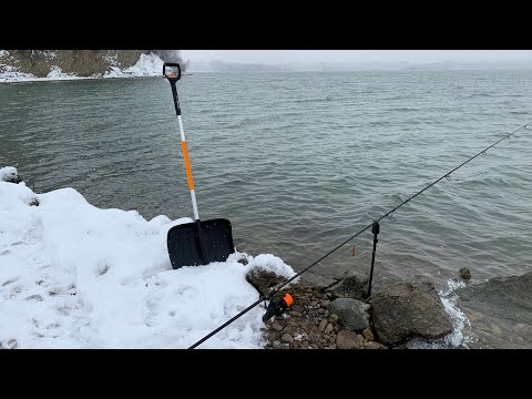 Video: Co můžete očekávat při plavbě po řece