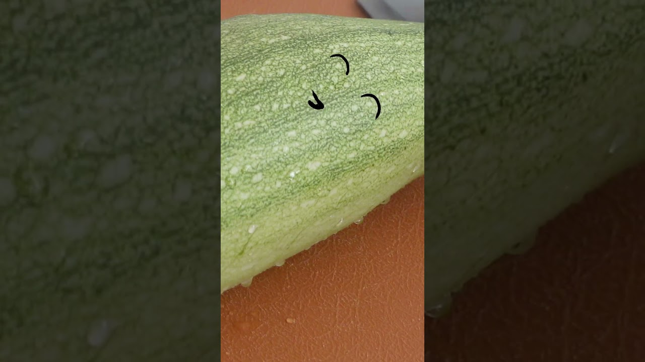 The FIRST ZUCCHINI of the YEARRRRRRRR #music #garden #cooking #funny