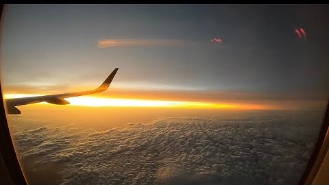 IE University -Express Yourself