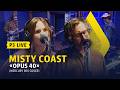 P3 Live: Misty Coast - «Opus 40» (Mercury Rev cover)
