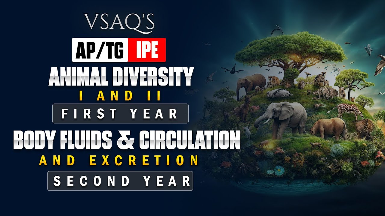Animal Diversity I & II + Circulation & Excretion | Complete IPE Biology Marathon