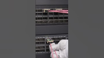 FS 200G/400G/800G Modules with Multi-Vendor Support#transceiver #shorts