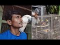 The Night Before Yaas Striking Parrot Dipankar Bird Aviary / Who Is More Stronger Yaas Or Amphan.
