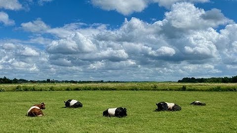 Ambtelijke technische briefing over het Vervolgpakket Nederland van het slot 2025-09-24