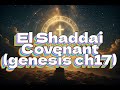 El Shaddai (Genesis 17) | Uplifting Modern Worship Song Lyric Video – Covenant &amp; Name Change