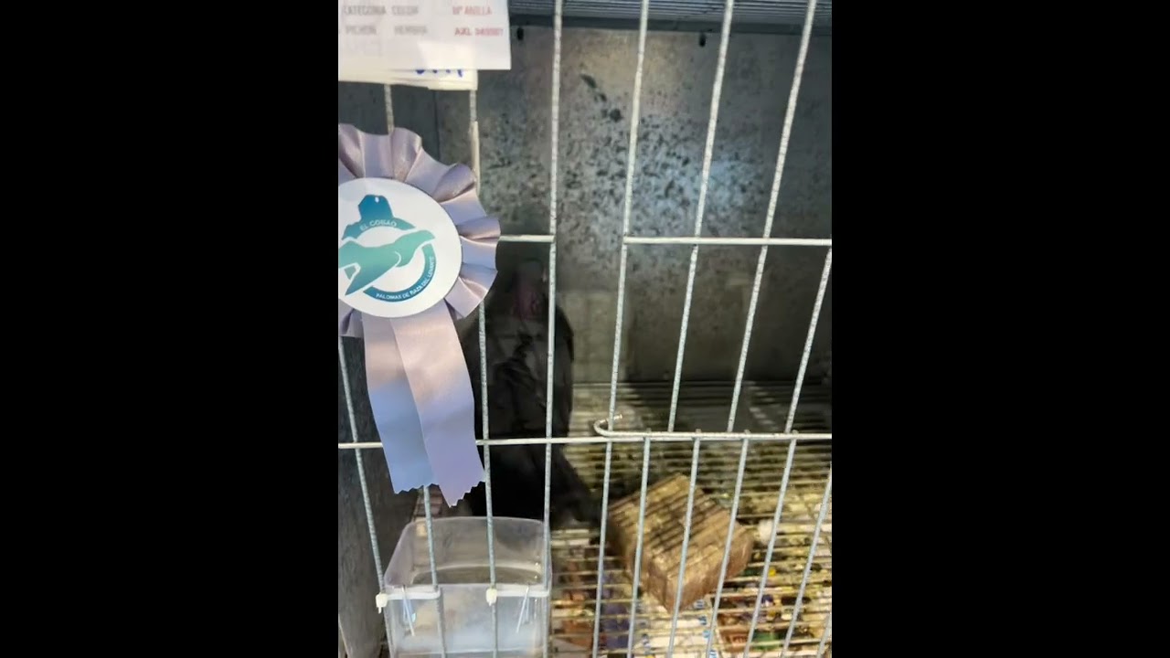 Un poquito de este fin de semana aparte de trabajadoress guapos 