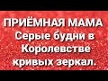 Дневник приёмной мамы/Обзор.