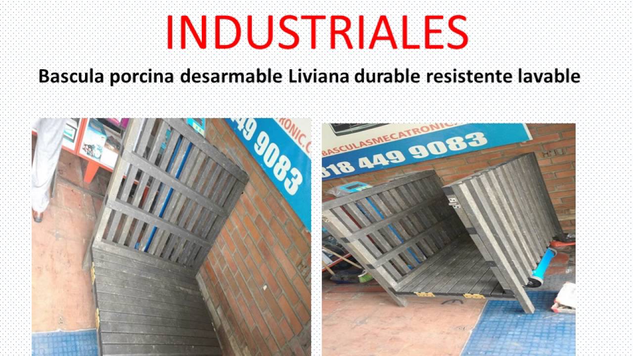 basculas electronicas