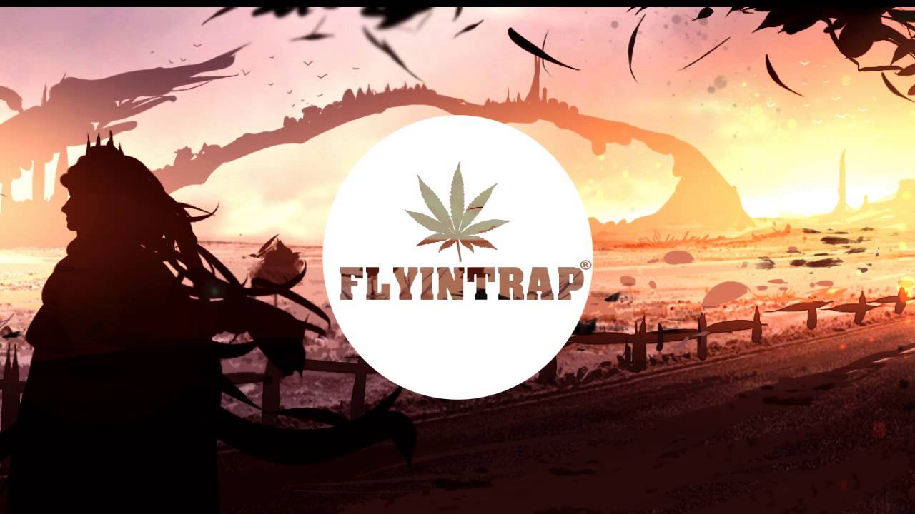 Sammy Seagull - Wing Up [Chill Trap Release]