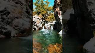 9442 1021031 mp3
