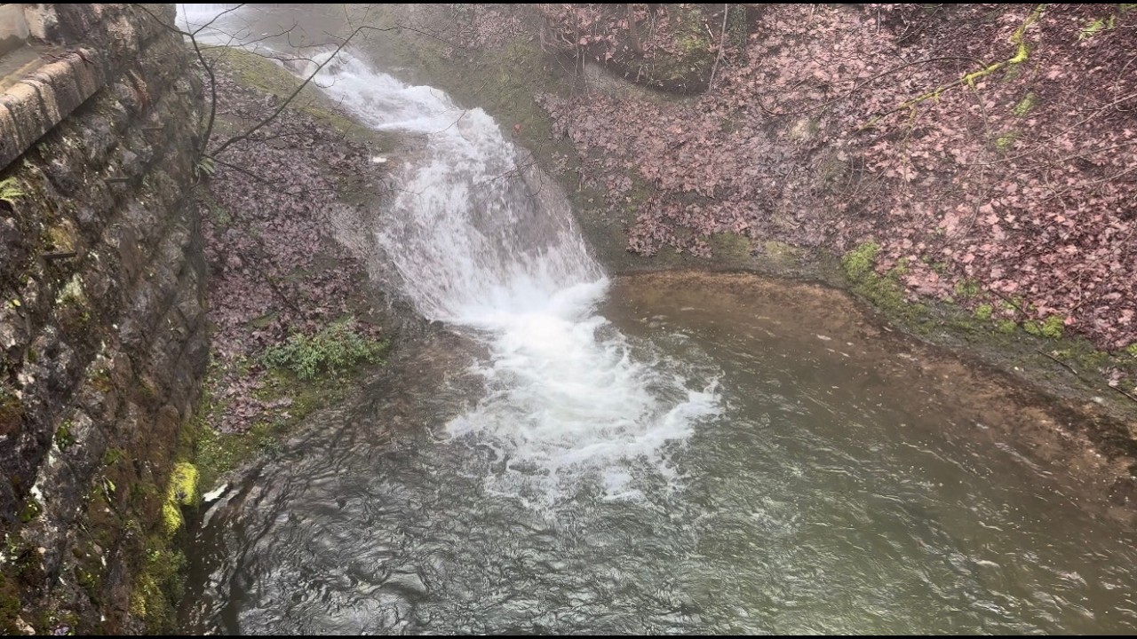 My visit to St. Gallen (03.12.2026)