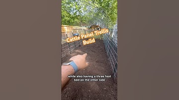 Cattle Panel Trellis Build #garden #regenerativeagriculture #growyourownfood