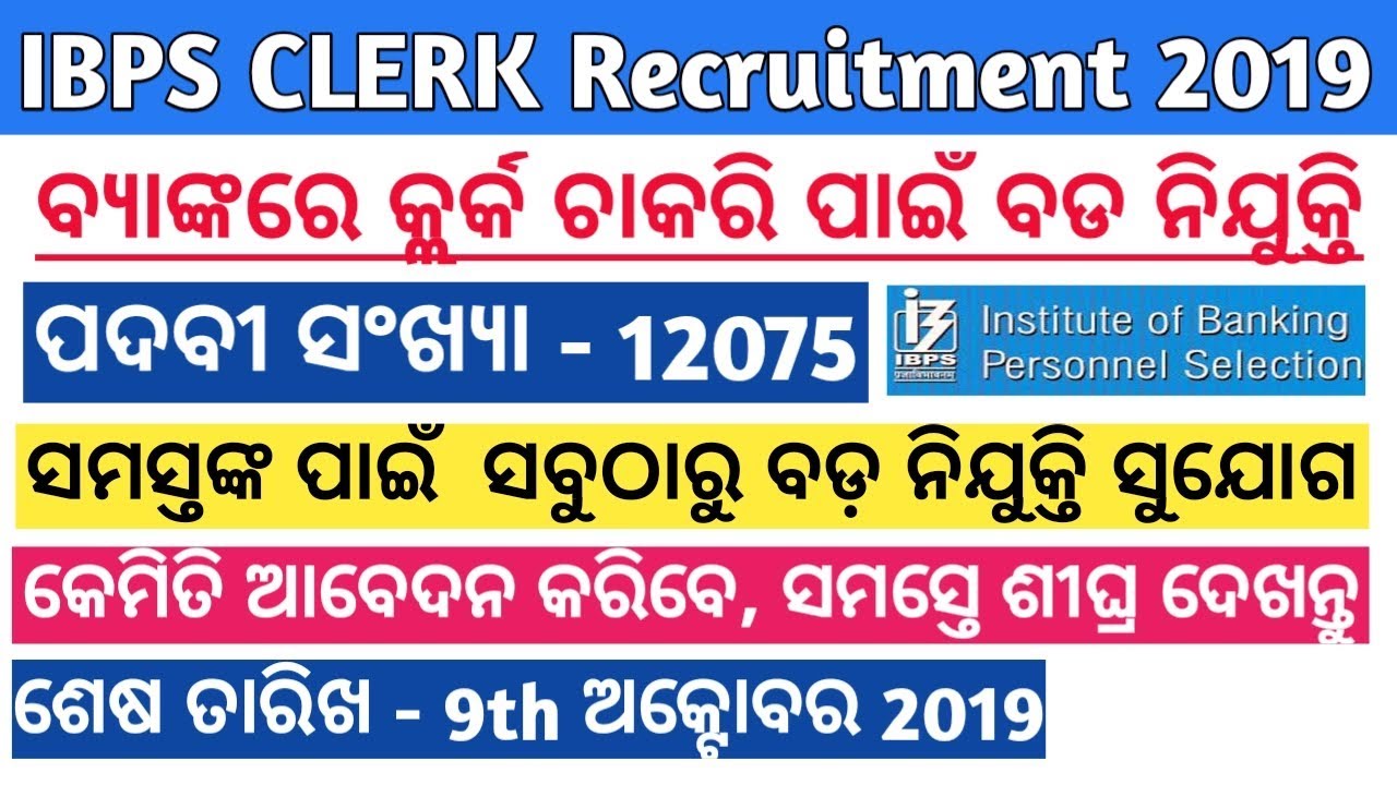 IBPS Clerk Recruitment 2019 | IBPS Clerk Apply Online 2019 In odia | IBPS Clerk Job