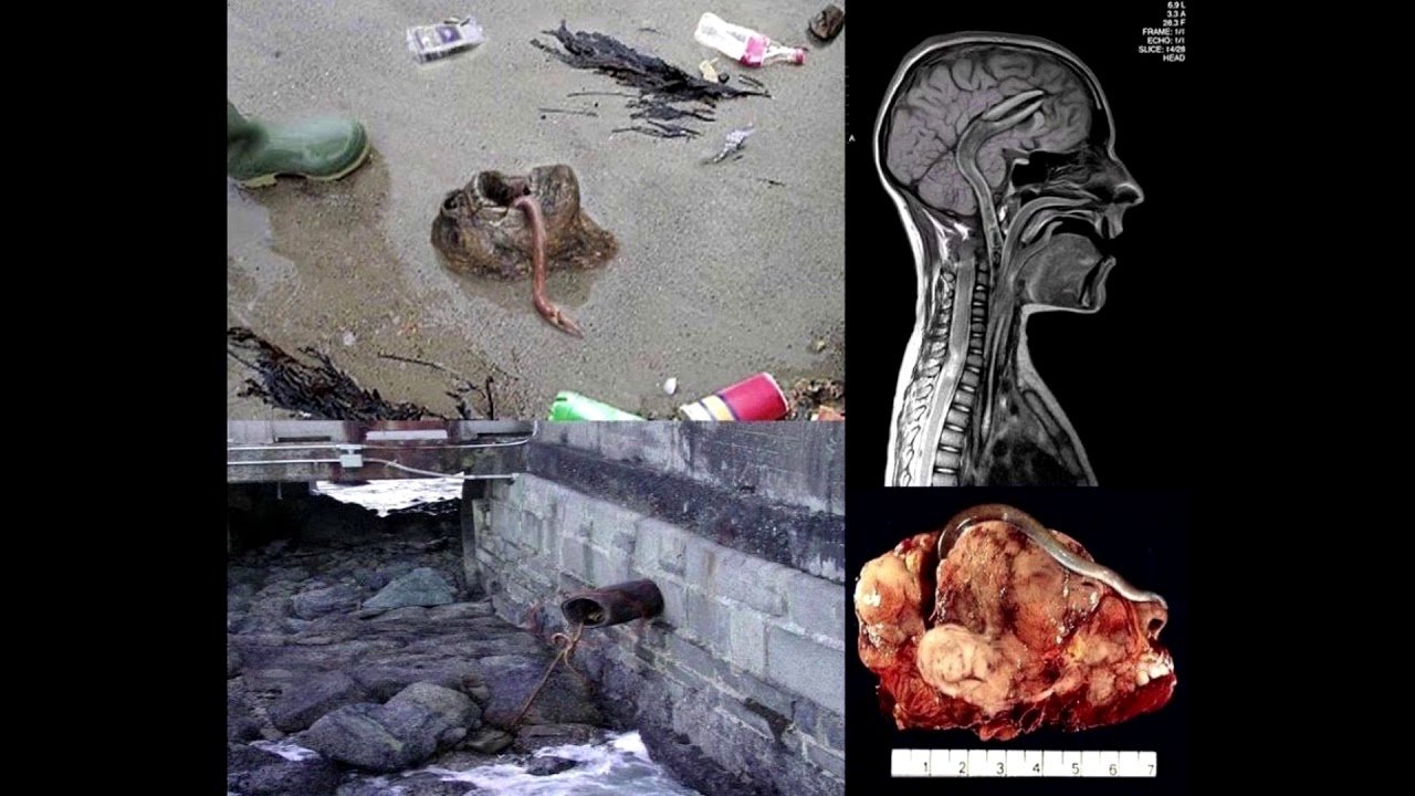 tuMaggz - GUT$ (feat. Witchouse 40k)