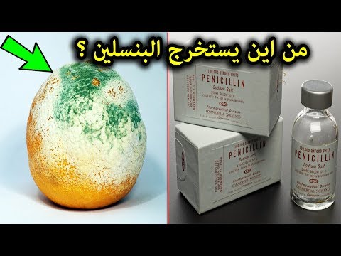 فيديو: هل البنسلين والبنسليوم متماثلان؟