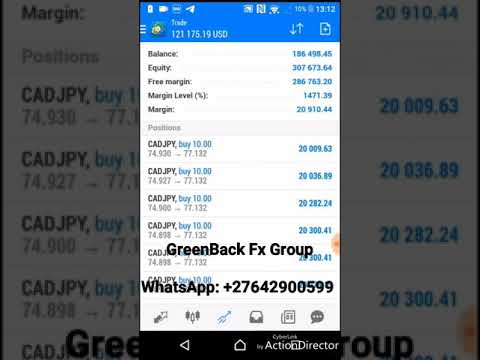 Fundamental Trading with Greenback Forex Group ?