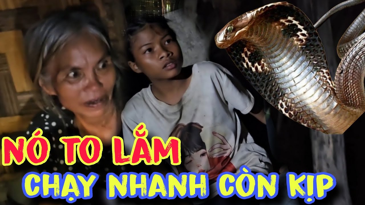 mạo hiểm.vào rừng trong đêm để thăm bà cụ.đã thấy rắn hổ mang to khổng Lồ,ai thấy cũng phải chạy.