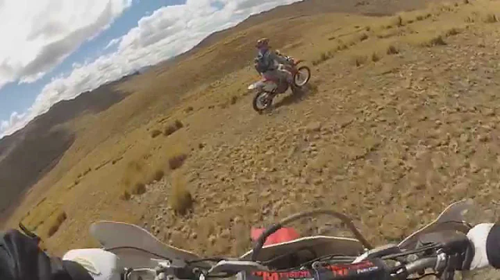 FreeRide starring Terry Ash