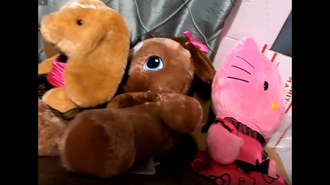 Scored more retired build a bears and a xbox 360 system at this yardsale