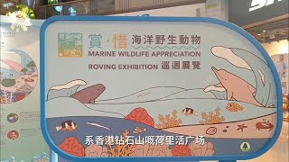 🇨🇳🇭🇰 2024.03 (廣東話) 香港荷里活廣場 保護海洋野生動物展覽 越式餐廳: 生牛肉湯河粉、咖喱牛腩紅米飯、熱檸檬水✨滿天星星StarWish✨ by StarWish 滿天星星 27 views 1 month ago 2 minutes, 51 seconds